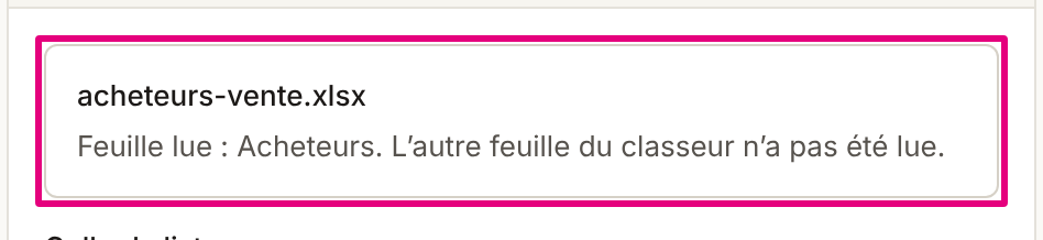 Un classeur Excel déposé : son nom et « Feuille lue : Acheteurs. L’autre feuille du classeur n’a pas été lue. ».