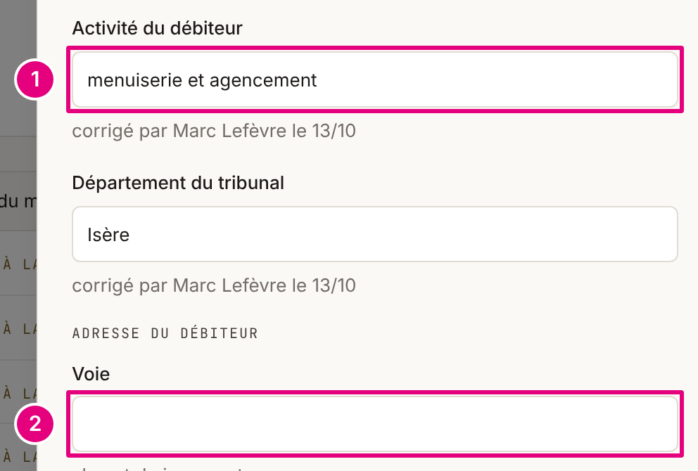 Plus bas dans le volet : « Activité du débiteur » et « Département du tribunal », puis le groupe de l’adresse du débiteur, « Voie » en tête.