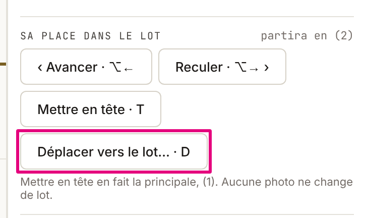 Le panneau d’une photo, section « Sa place dans le lot » : sous les gestes d’ordre, le bouton « Déplacer vers le lot… · D », encadré.